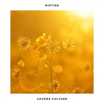 Covers Culture feat. Acoustic Covers Culture Riptide