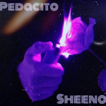 Sheeno Pedacito