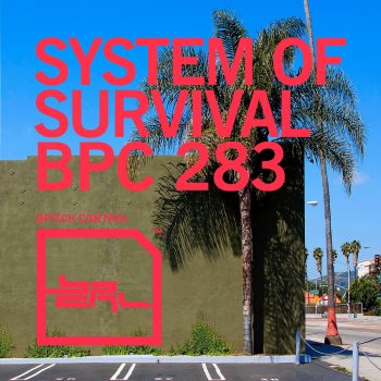 System Of Survival Crash What (Miguel Campbell & Matt Hughes Remix)