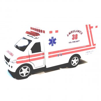 Horse Head Ambulance