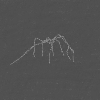 Sinead White Giant Spiders