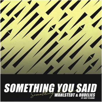Wahlstedt feat. RudeLies Something You Said