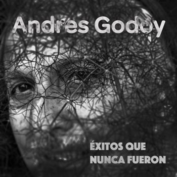 Andrés Godoy Pájaro Sol