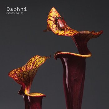 Daphni Dissolve (Daphni Edit)