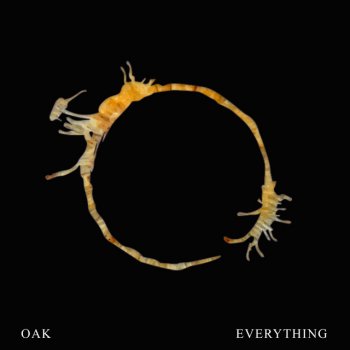 OAK Everything (Instrumental Version)
