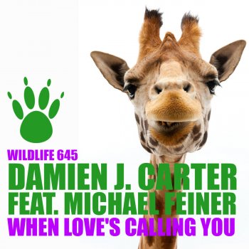 Damien J. Carter feat. Michael Feiner When Love's Calling You - Instrumental