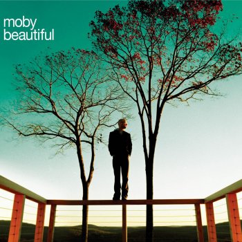 Moby Beautiful (Benny Benassi Dub)