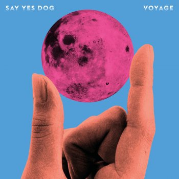 Say Yes Dog Deep Space