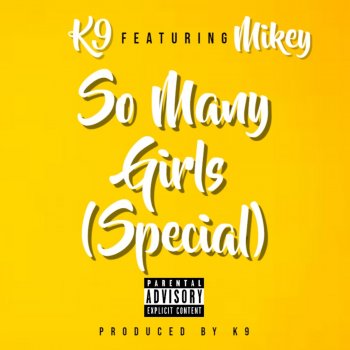 K9 So Many Girls (Special) [feat. Mikey]
