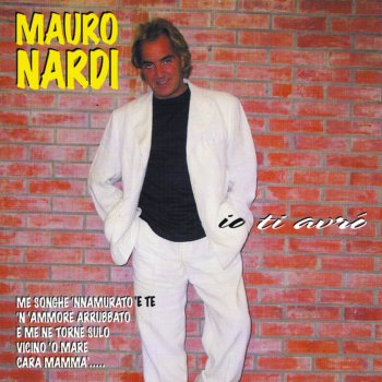 Mauro Nardi Canzone D'Estate