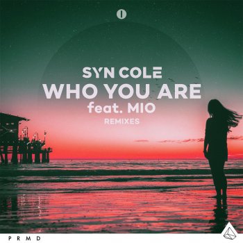 Syn Cole Who You Are (feat. MIO) [sergioisdead Remix Extended]