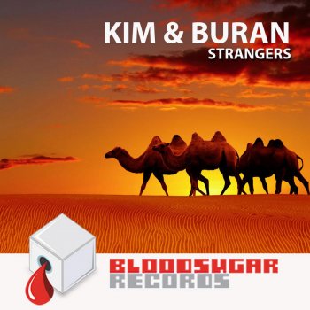 Kim & Buran Polar Lights