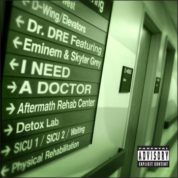 Dr. Dre feat. Eminem & Skylar Grey I Need a Doctor