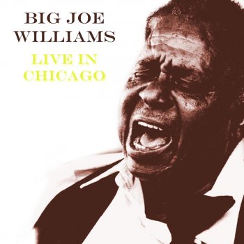 Big Joe Williams Nobody Wants You When You're Down and Out (Live)