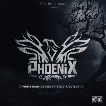 Phoenix Même dans le mauvais il y a du bon (Intro)