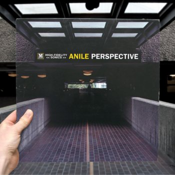 Anile Perspective (Continuous Mix)