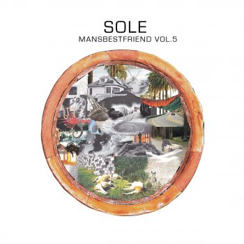 Sole Rep-Resent