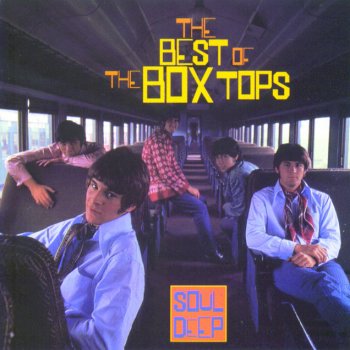 The Box Tops Turn on a Dream
