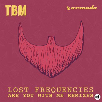 Lost Frequencies Are You with Me - Funk D Radio Edit