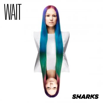 Sharks Wait