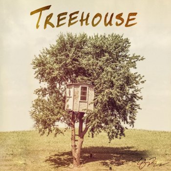 Caleigh Barker Treehouse