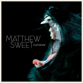 Matthew Sweet Coming Soon