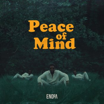 Endia Peace of Mind