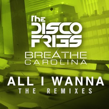 Disco Fries feat. Breathe Carolina All I Wanna (Morgan Page Remix)