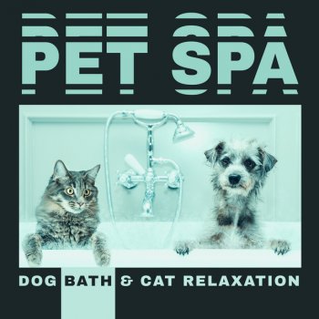 Pet Music Academy Relaxation Training