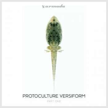Protoculture feat. Sue McLaren Superhuman