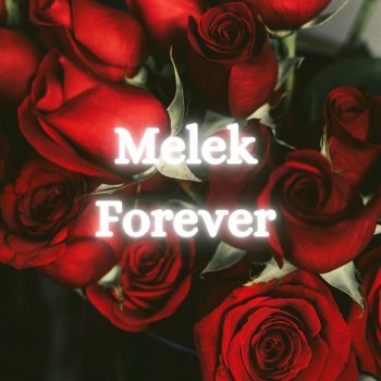 Melek Forever