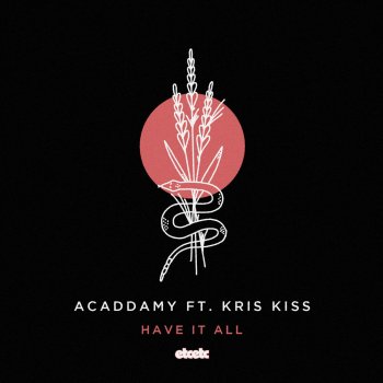 Acaddamy feat. Kris Kiss, Sir Jonathan & Majik J Have It All - Sir Jonathan & Majik J Remix