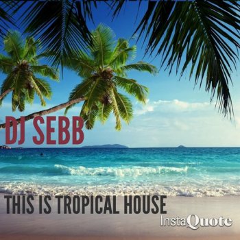 DJ Seb B This Is Tropical House
