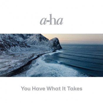 A-ha You Have What It Takes (Radio Edit)