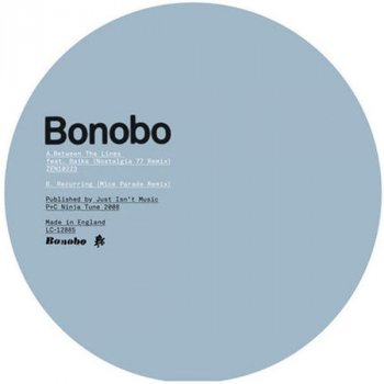 Bonobo Between The Lines - Nostalgia77 Remix