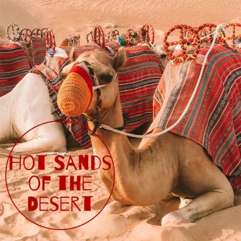 Egyptian Meditation Temple Camel Caravan