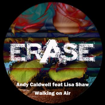 Andy Caldwell feat. Lisa Shaw Walking On Air feat Lisa Shaw - Deep Touch Mix