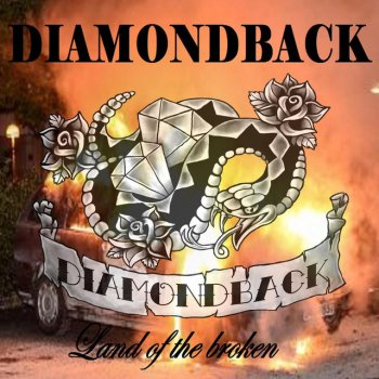 DiamondBack Land Of The Broken