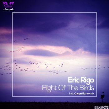 Eric Rigo feat. Owen Ear Flight Of The Birds - Owen Ear Remix