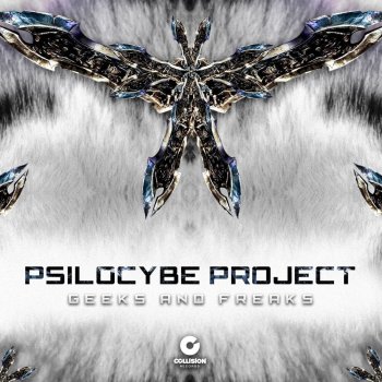 Psilocybe Project Between the Lines