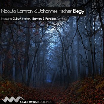 Naoufal Lamrani feat. Johannes Fischer Elegy - O.B.M Notion Remix