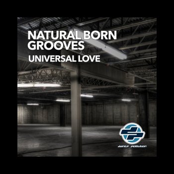 Natural Born Grooves Kinetic Energy