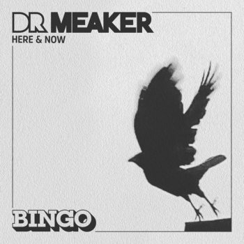 Dr Meaker Here & Now