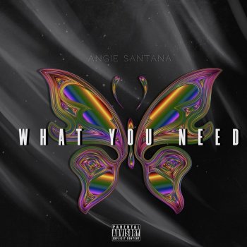 Angie Santana What You Need