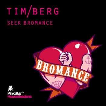 Tim Berg Seek Bromance (Avicii Vocal Edit)