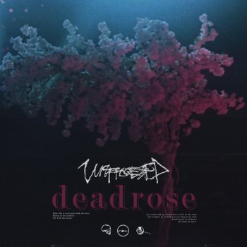 Unprocessed Deadrose