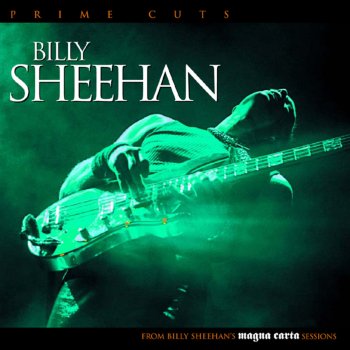 Billy Sheehan Bass Solo (Buffalo 1994) [Live]