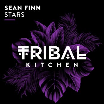 Sean Finn Stars (Extended Mix)