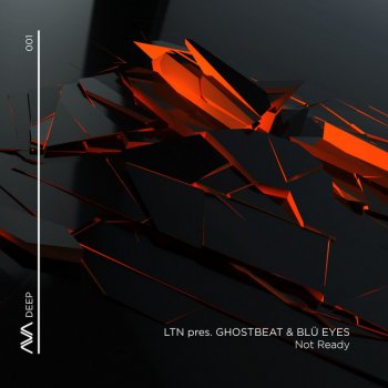 LTN feat. Ghostbeat & BLÜ EYES Not Ready - Extended Mix