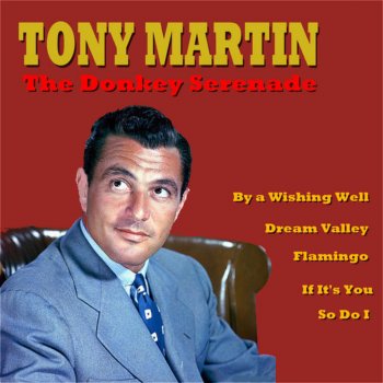 Tony Martin Dream Valley